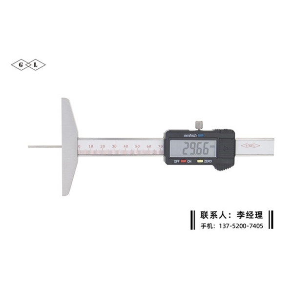 細(xì)桿數(shù)顯深度卡尺0-100mm