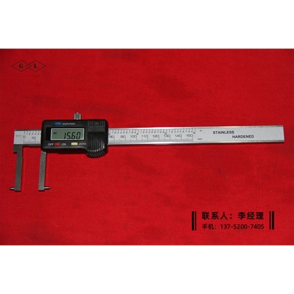內尖頭數(shù)顯卡尺20-170mm