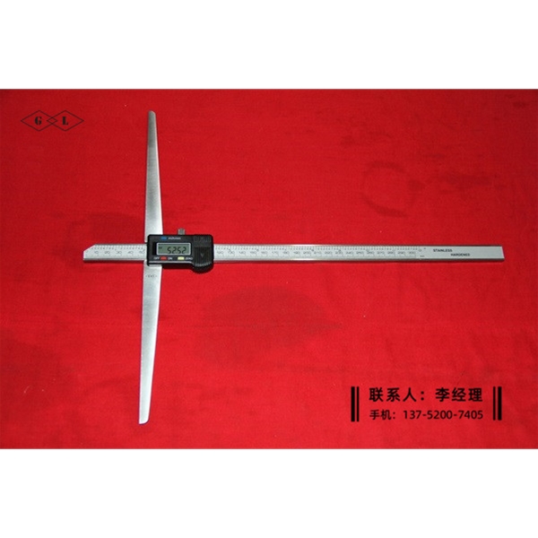 長橋數(shù)顯深度卡尺0-300×300mm
