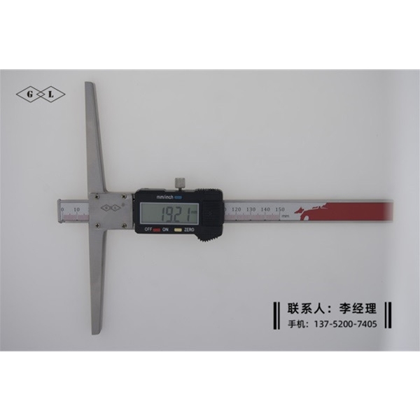 漩口測量數(shù)顯卡尺0-100mm