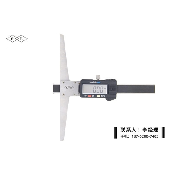 漩口測量數(shù)顯卡尺0-50mm