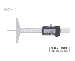 細(xì)桿數(shù)顯深度卡尺0-100mm