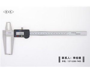 刀頭雙內(nèi)溝槽數(shù)顯卡尺9-200mm