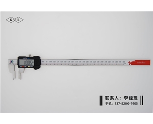 限位外溝槽數(shù)顯卡尺0-300mm(1)