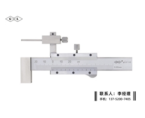 游標(biāo)面差尺±20mm