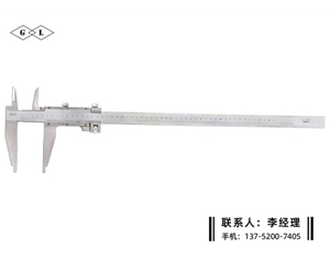 雙內(nèi)爪游標卡尺0-500mm