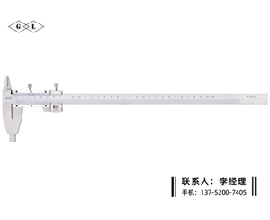 雙內(nèi)爪游標卡尺0-300mm
