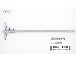 深度游標(biāo)卡尺0-300mm