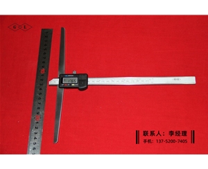 加長橋數(shù)顯深度卡尺0-200×250mm