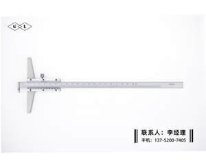 多用深度游標(biāo)卡尺0-200mm