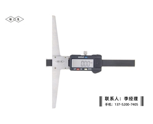 漩口測量數(shù)顯卡尺0-50mm