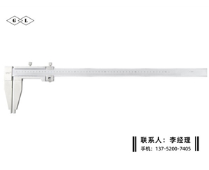 防磁游標(biāo)卡尺0-500mm