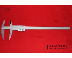 公英制游標(biāo)卡尺0-300mmB