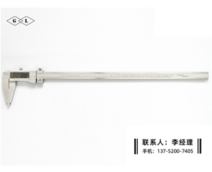 Ⅳ型數(shù)顯卡尺0-600mm